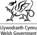 Welsh Government Welsh Government Logo