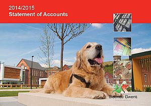 Statement of Accounts Statement of Accounts