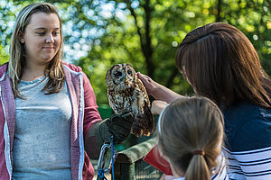 Festival Park Owl Sanctuary