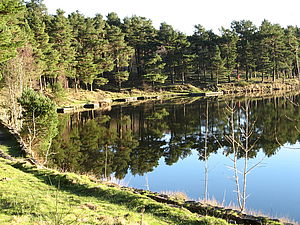 St James Pond St James Pond